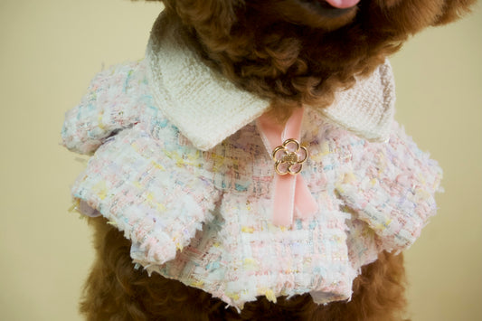 Lady Ruffled Cape