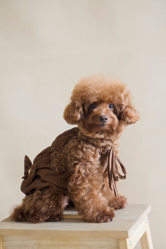 Serena Pleated Dress (Chocolate Brown)