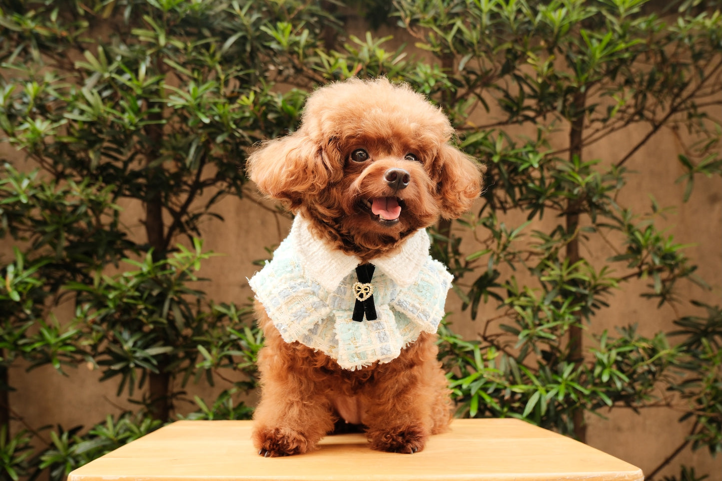 Fatima Ruffled Cape