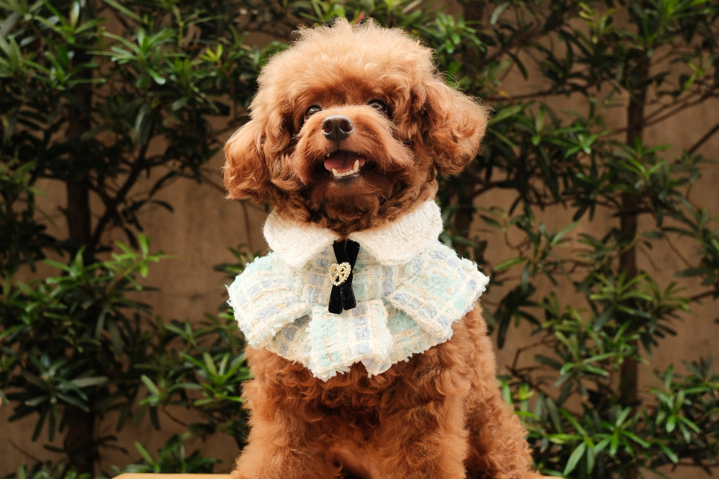 Fatima Ruffled Cape