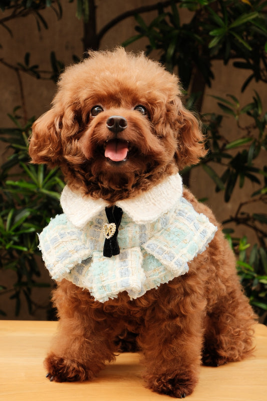 Fatima Ruffled Cape