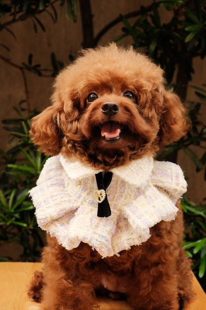 Aeri Ruffled Cape