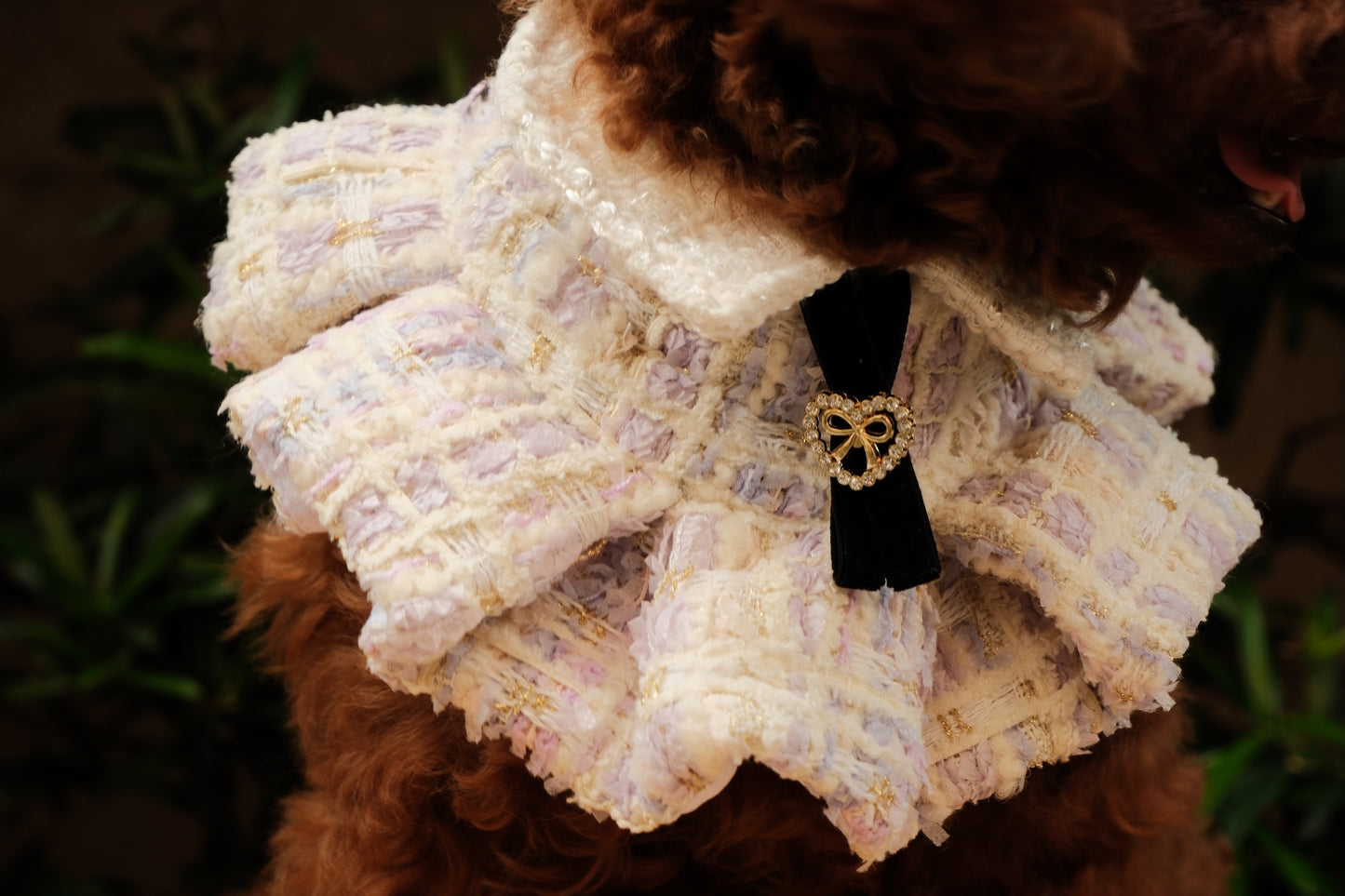 Aeri Ruffled Cape