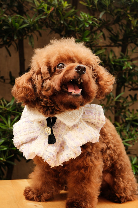 Aeri Ruffled Cape