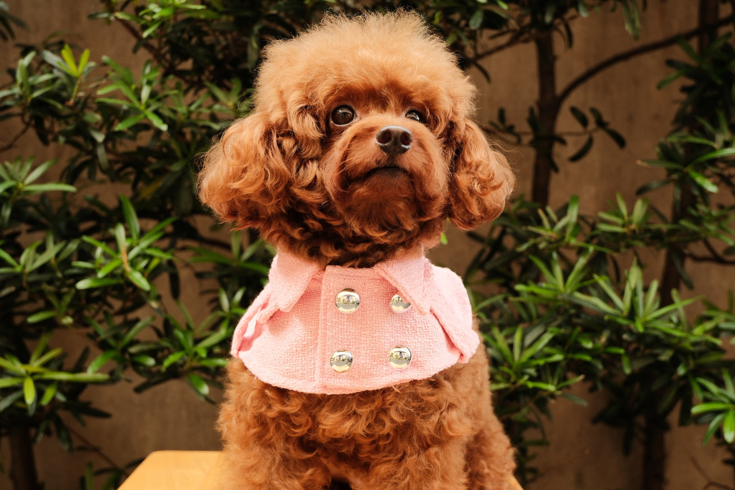 Barbie Trench Coat