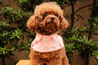 Barbie Trench Coat
