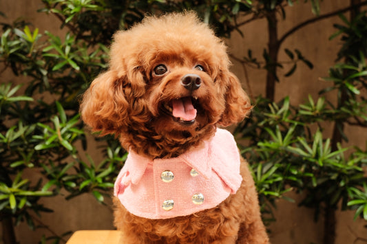 Barbie Trench Coat