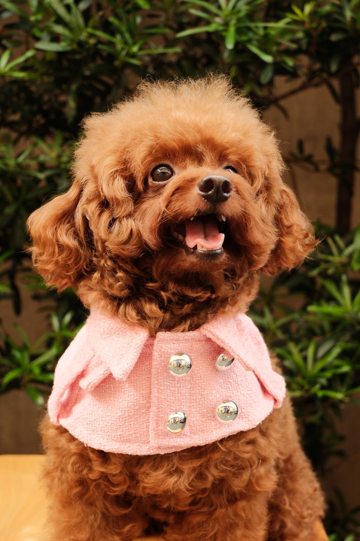 Barbie Trench Coat