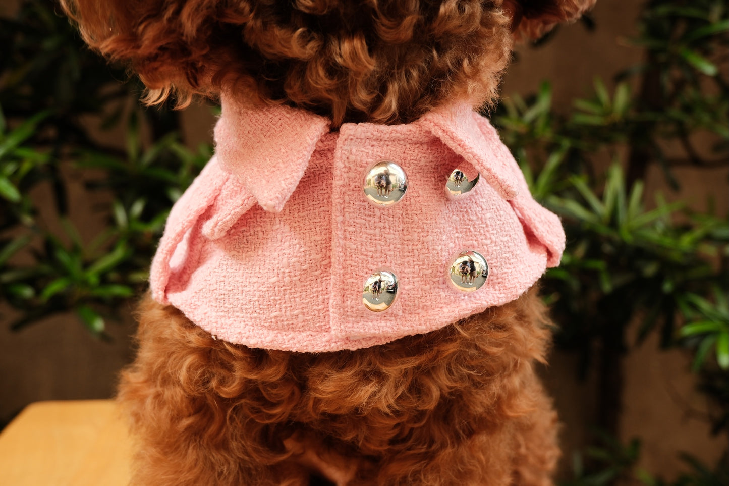 Barbie Trench Coat