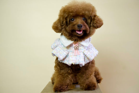Lady Ruffled Cape