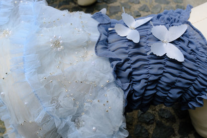 Karol Smocked Chiffon Beaded Dress (Dusty Blue)