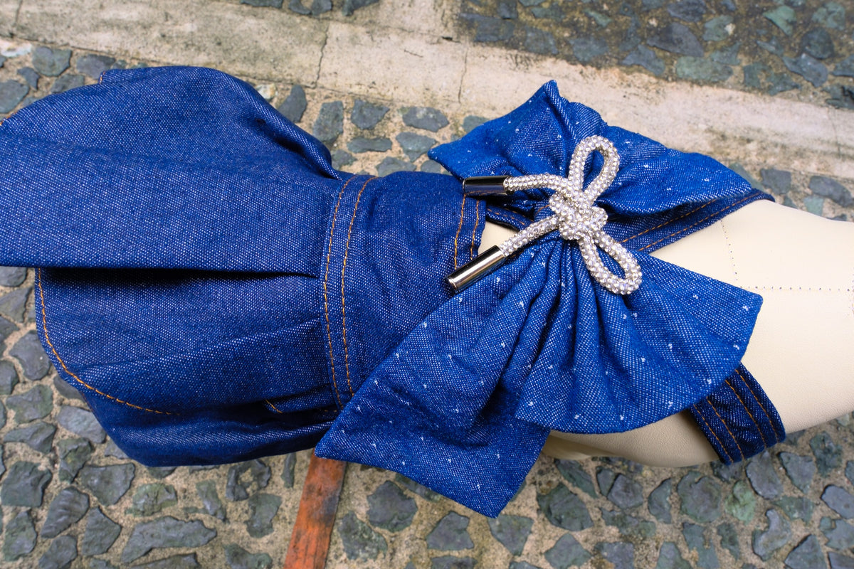 Sabrina Denim Dress