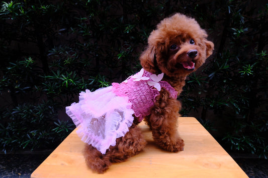 Karol Smocked Chiffon Beaded Dress (Old Rose)