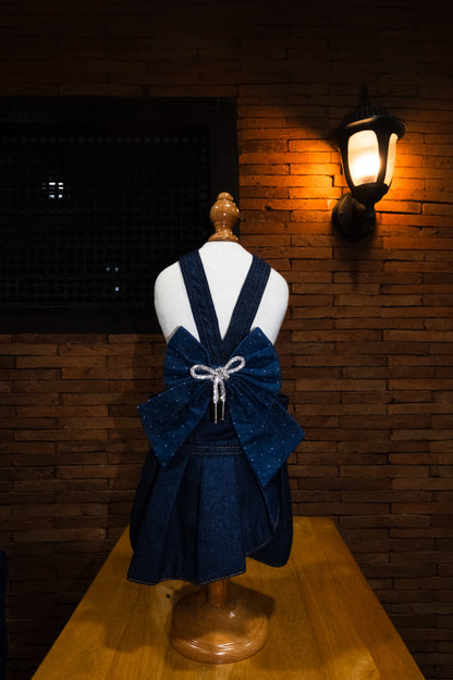 Sabrina Denim Dress