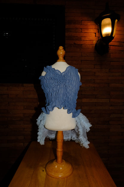 Karol Smocked Chiffon Beaded Dress (Dusty Blue)
