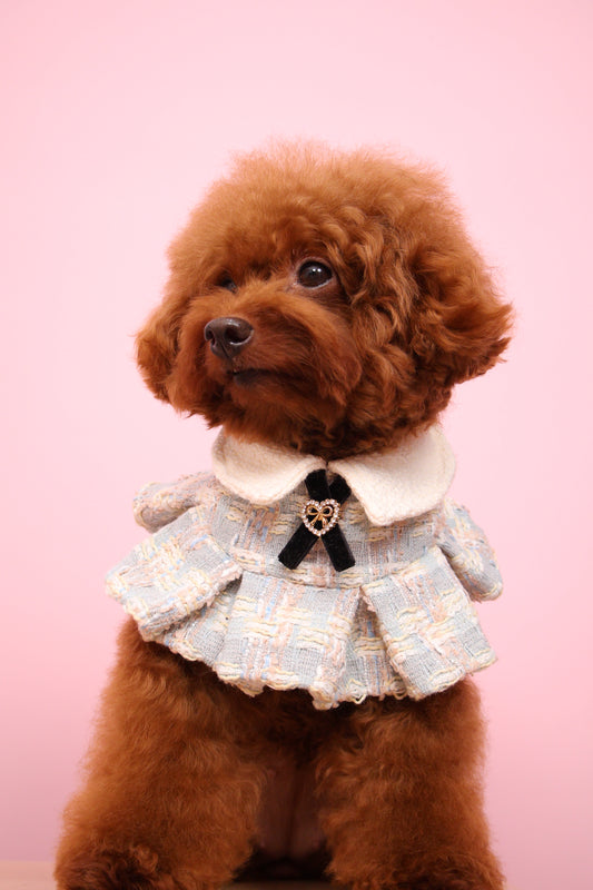 Ciel Ruffled Cape